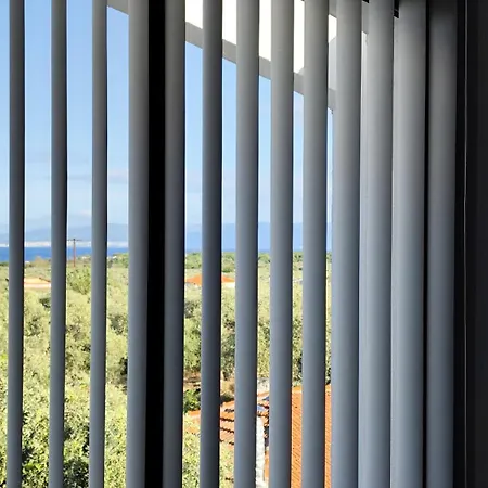 Zoma In Thassos Принос